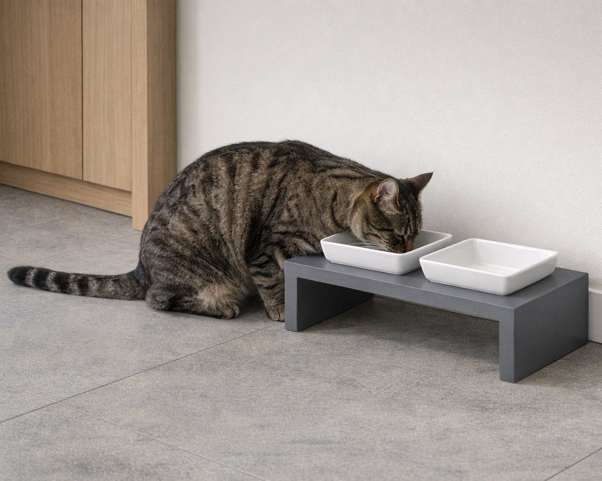 Bowsers Moderno Double Wood Dog Bowl Feeder - Elevated Designer Pet Dining