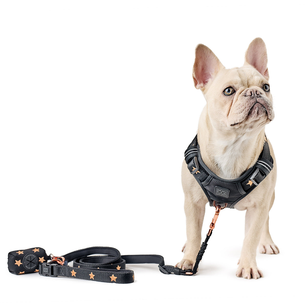 DOGISTRY 3-in-1 City Dog Leash - Rockstar