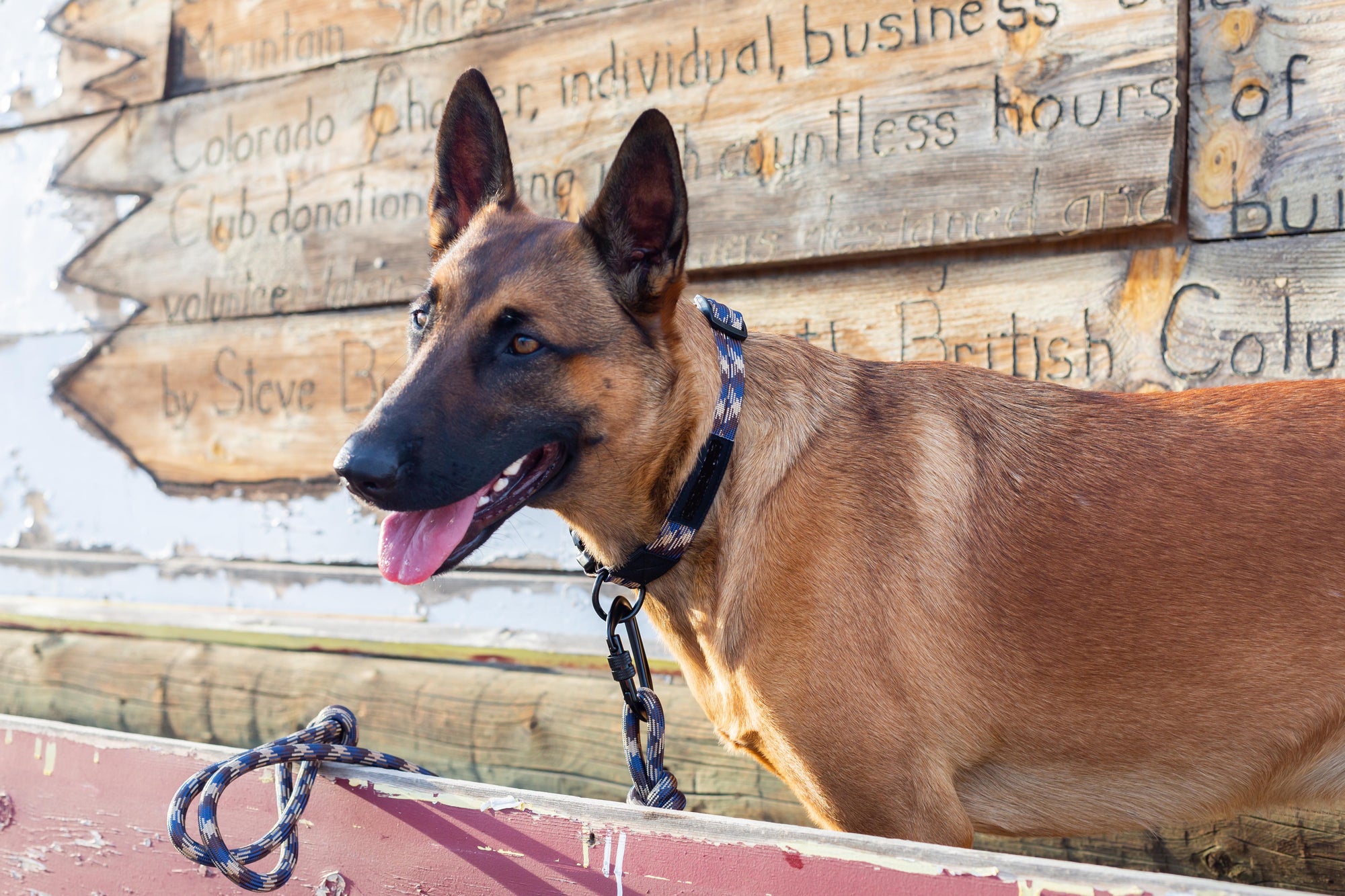 Euro-Dog Climbing Rope Dog Leash