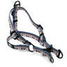 Outdoor Style Mountain Sunset Nylon Step In Dog Harness
