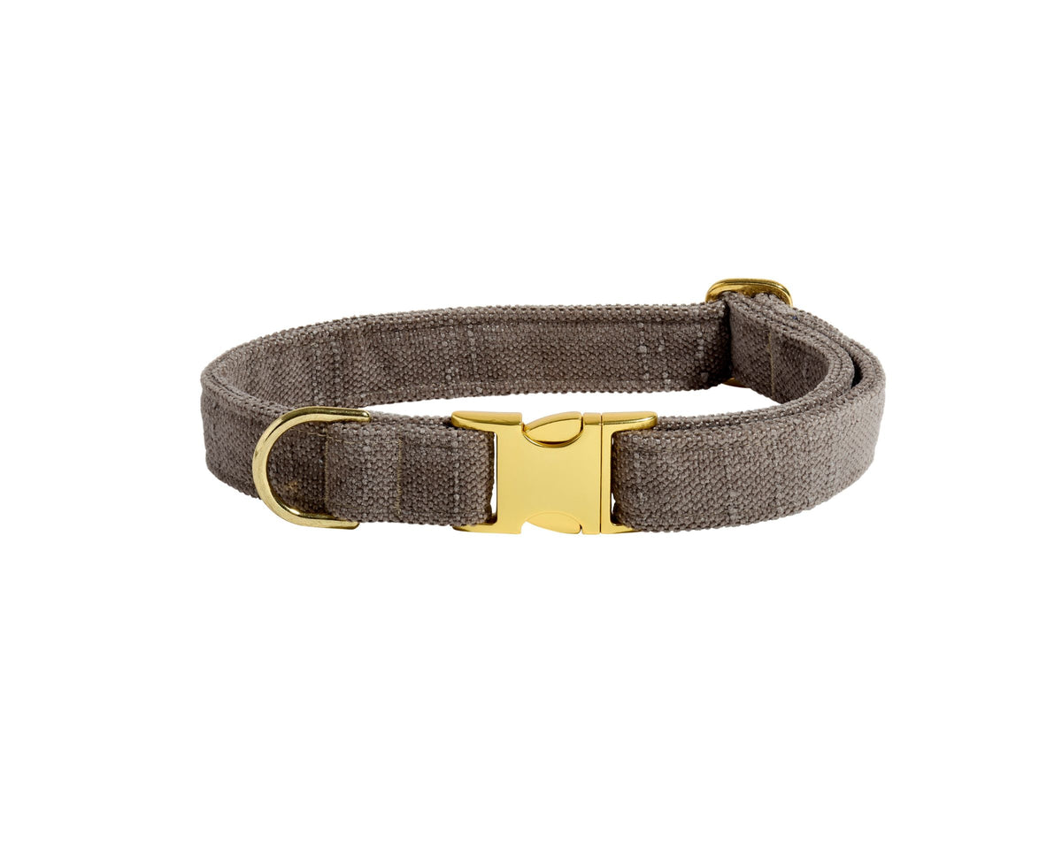 Bowsers Designer Buckle Dog Collar - Secure Everyday Fit and Designer Style