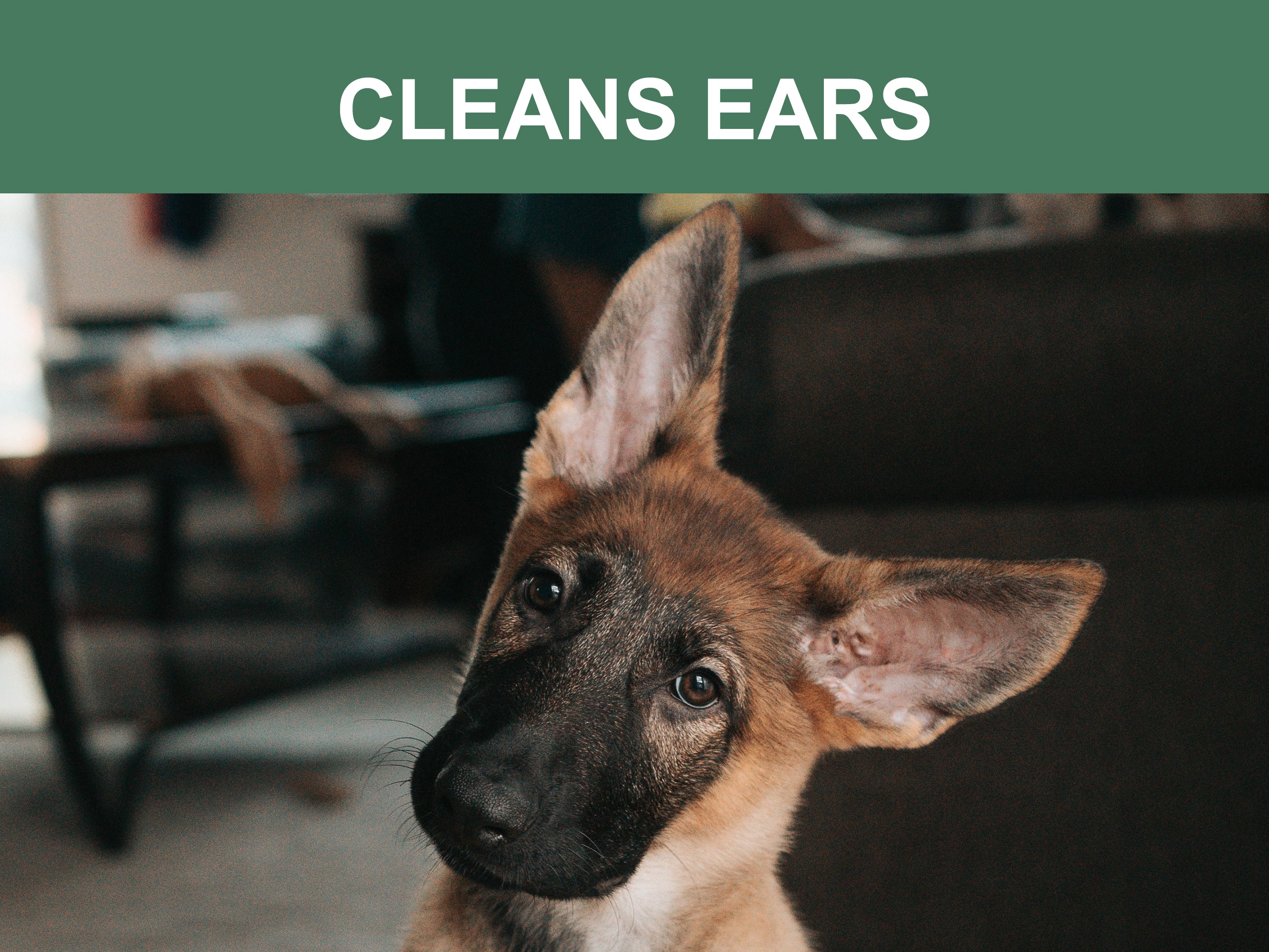 Mr. Peanuts Naturals Plant Based, Flushable, Compostable, Unscented Pet Wipes, 160 Count, Larger 8x6" Size