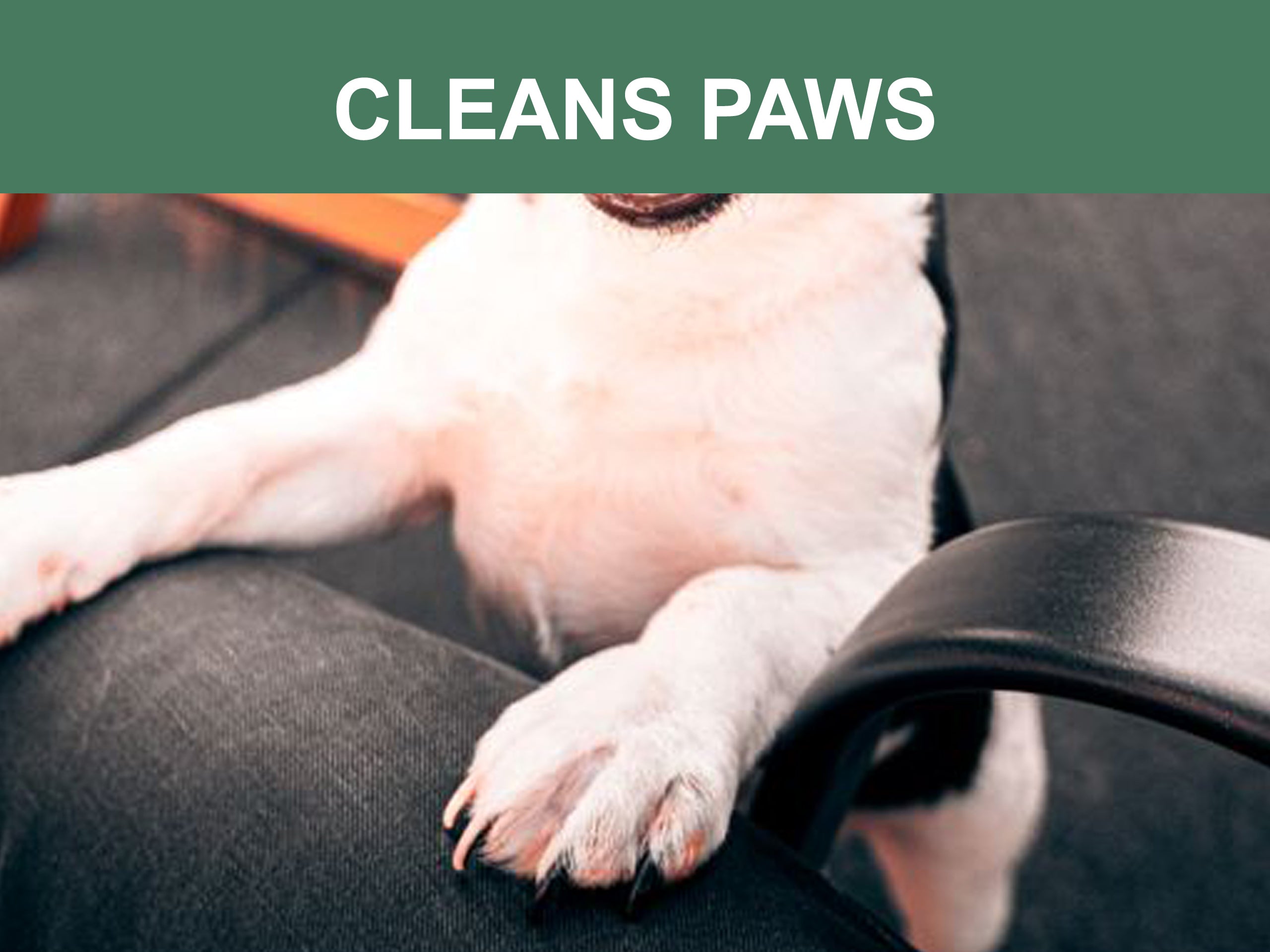 Mr. Peanuts Naturals Plant Based, Flushable, Compostable, Unscented Pet Wipes, 160 Count, Larger 8x6" Size