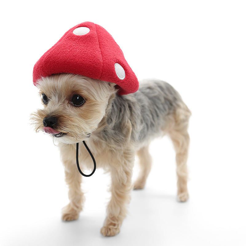 DOGO Mushroom Dog Costume Hat