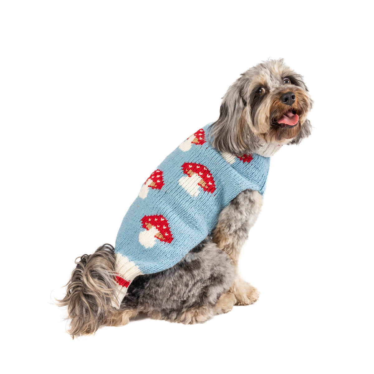 Chilly Dog Mushroom Wool Dog Sweater