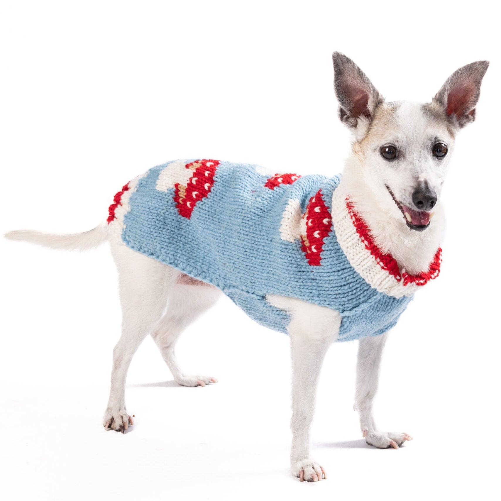 Chilly Dog Mushroom Wool Dog Sweater