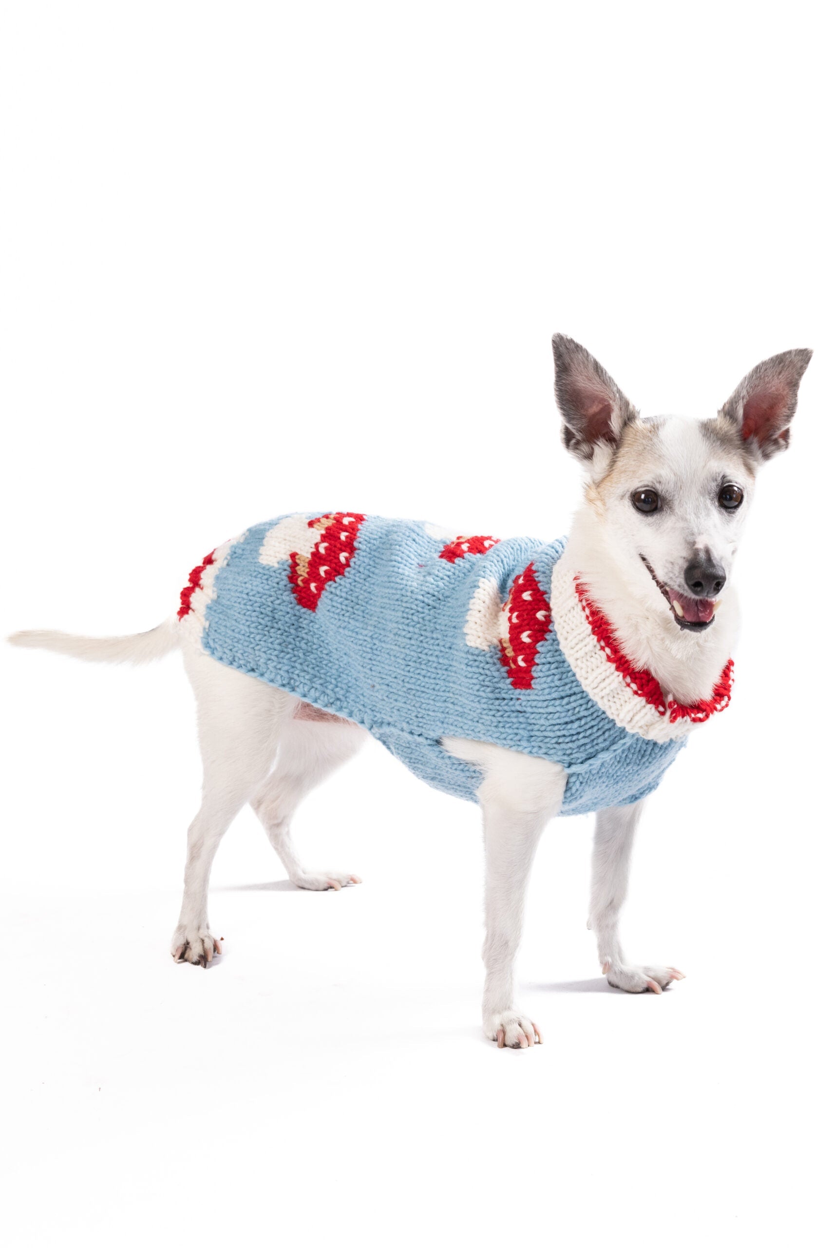 Mushroom Dog Sweater