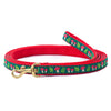 Up Country Mushrooms Small Breed Dog Leash Made in USA