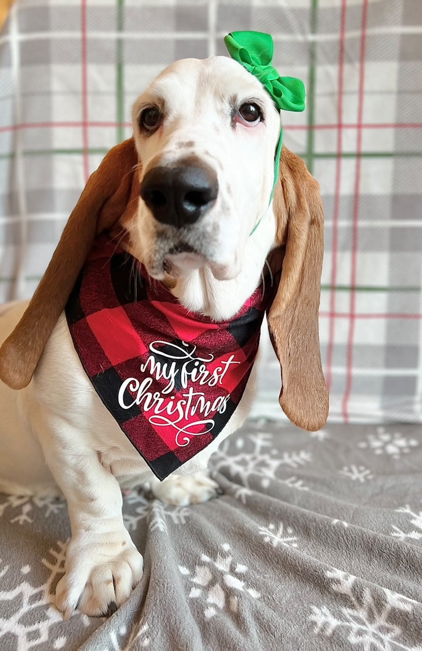 My First Christmas Red Plaid Dog Bandana