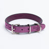 Nubuck Fuchsia-Collar