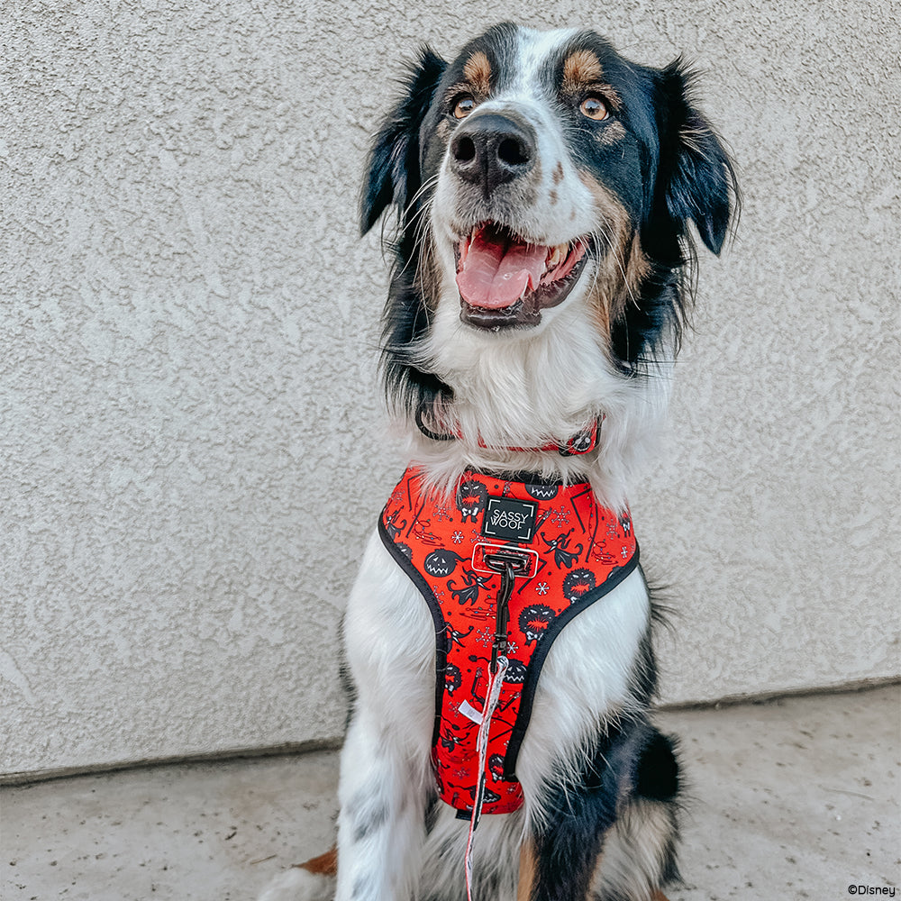 Dog Collar - The Nightmare Before Christmas™ (Red)