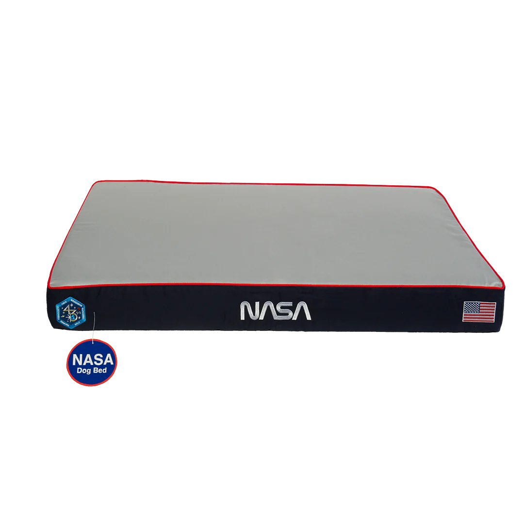 NASA Dog Bed in Astro Orange