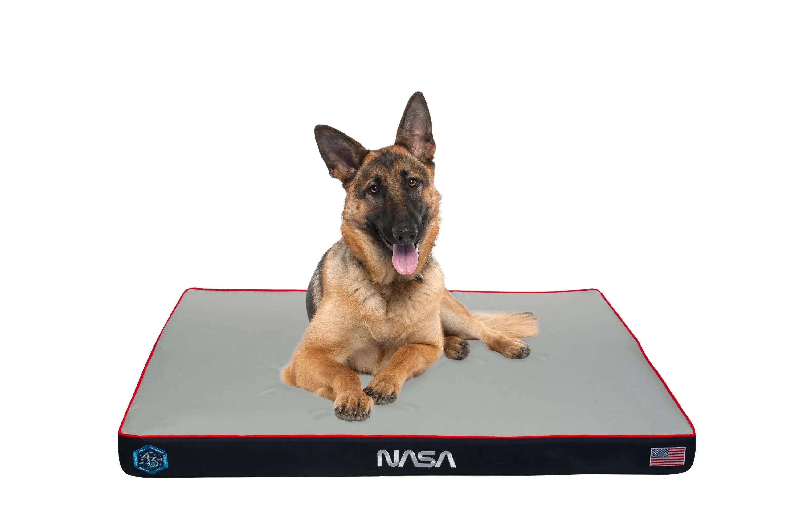 NASA Dog Bed in Space Grey