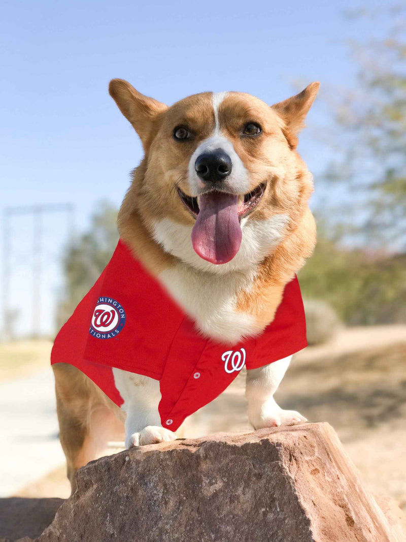 MLB Washington Nationals Mesh Pet Jersey