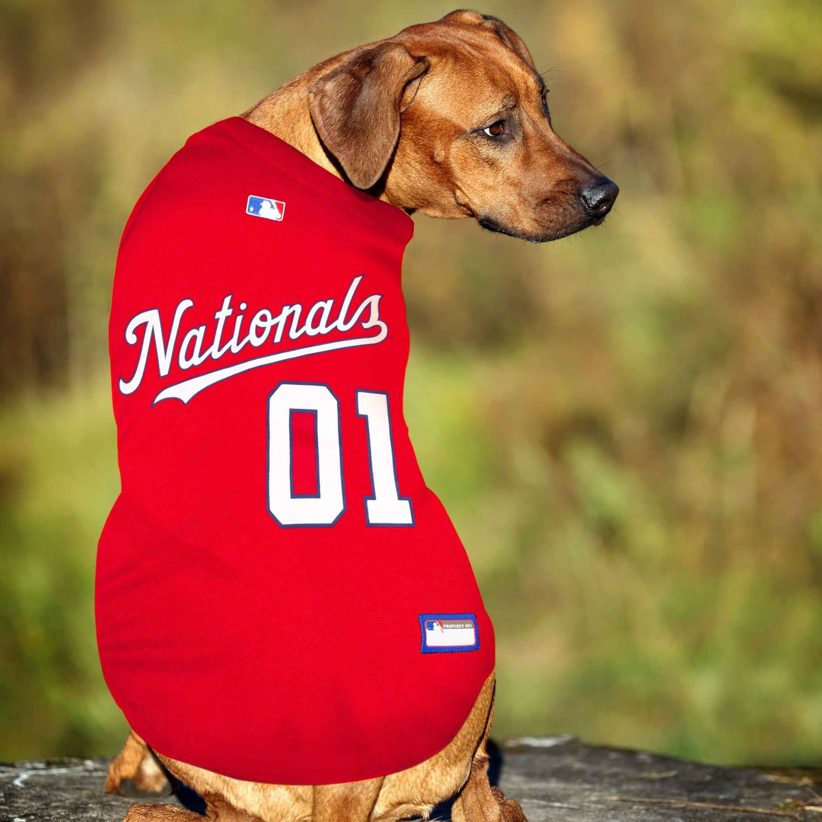 MLB Washington Nationals Mesh Pet Jersey