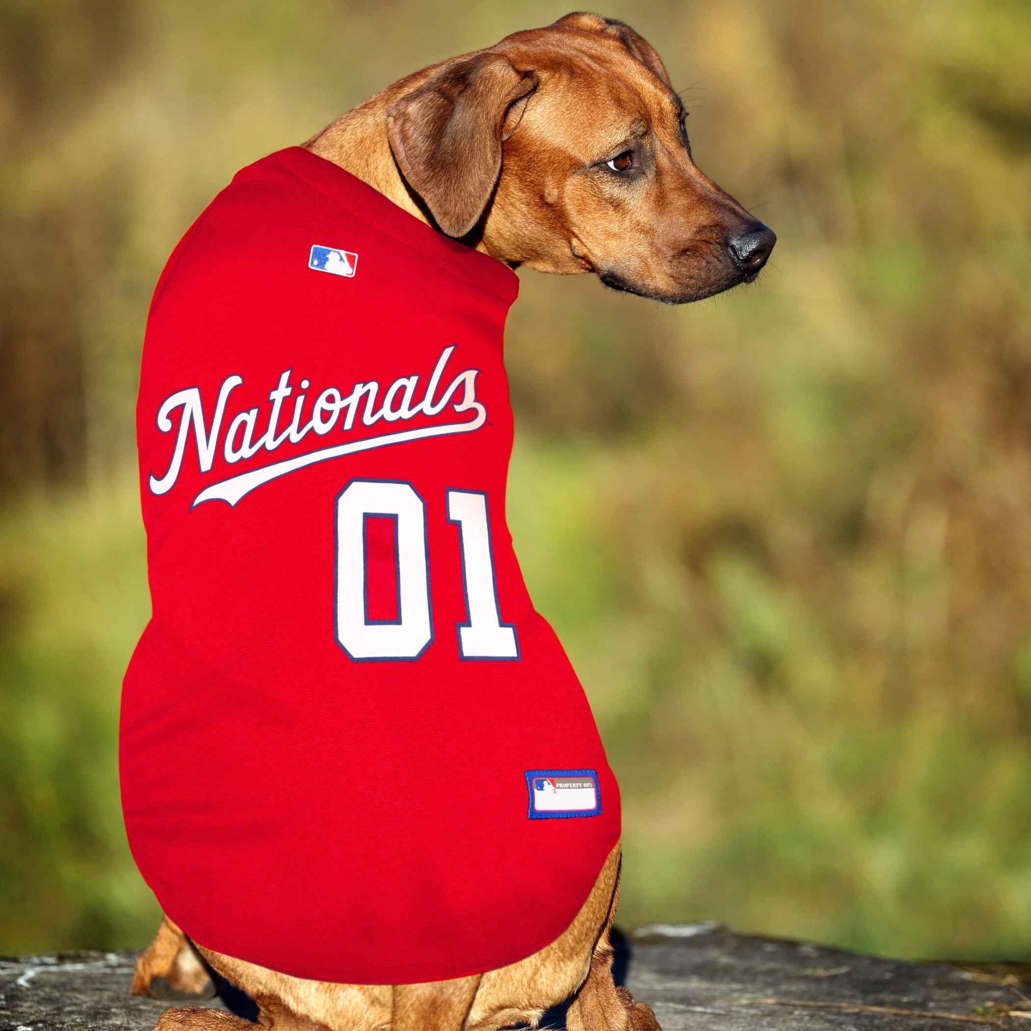 Washington Nationals Pet Jersey