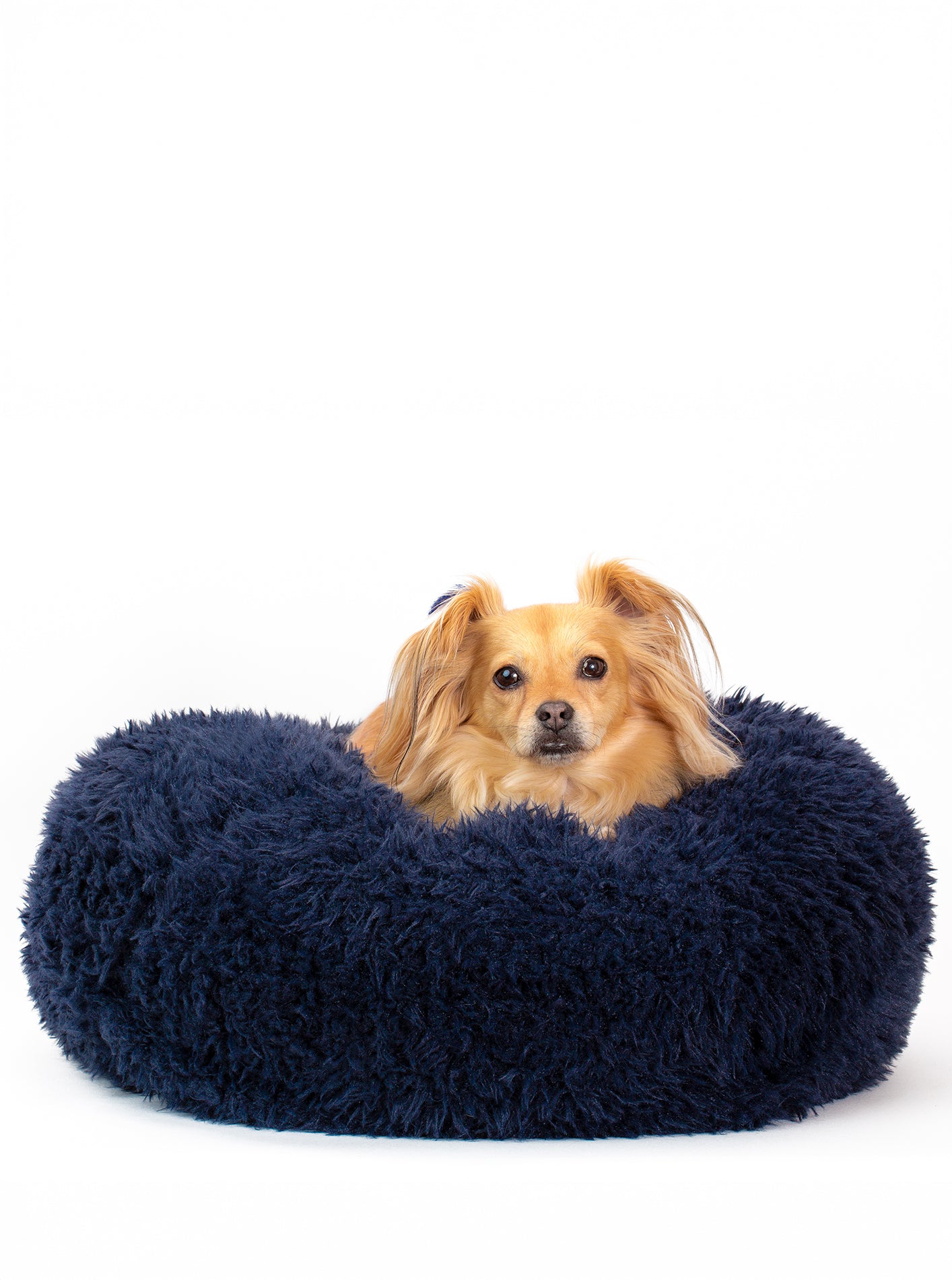 POD DOG BED