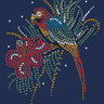 Parrot with Hibiscus - Women's T-shirt