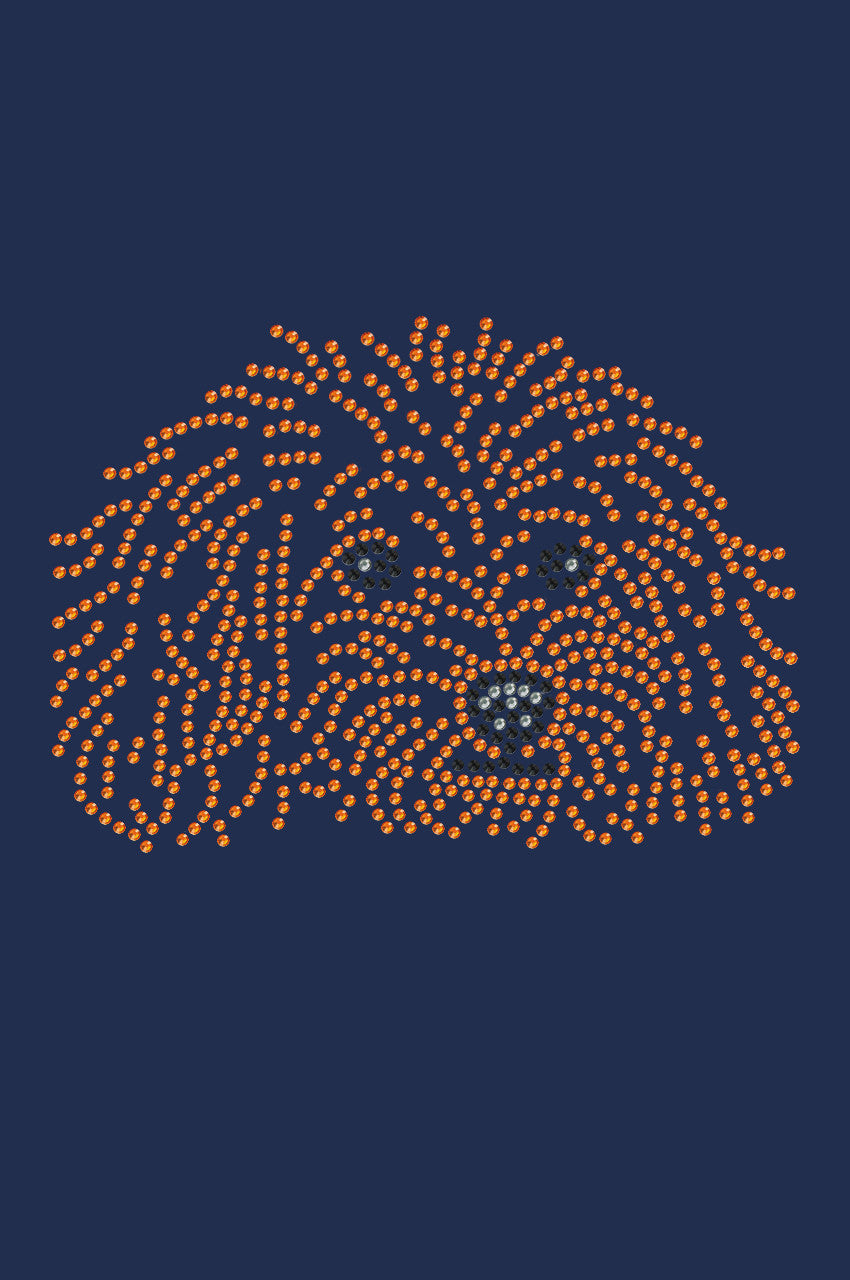 Poodle (Teddy) - bandana