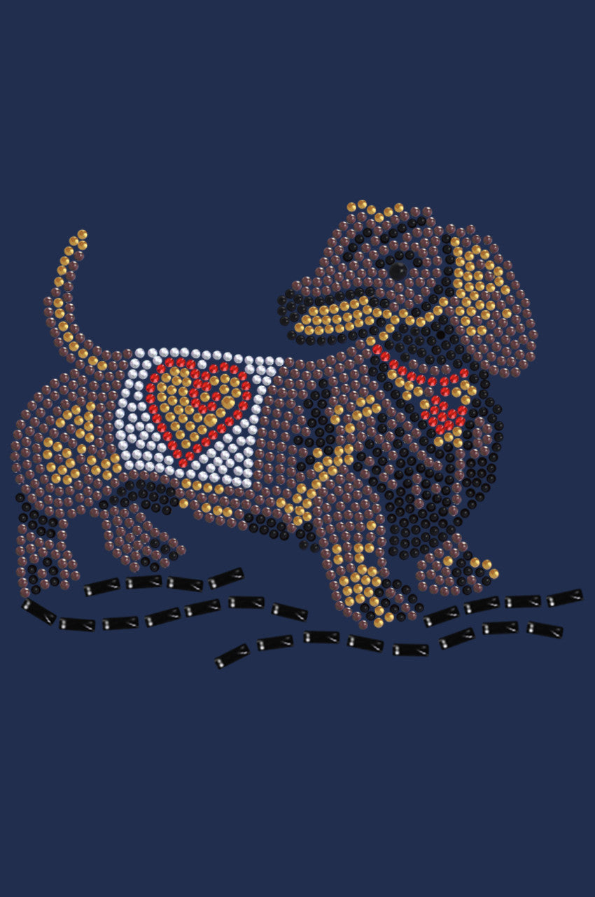 Dachshund 1 - bandana