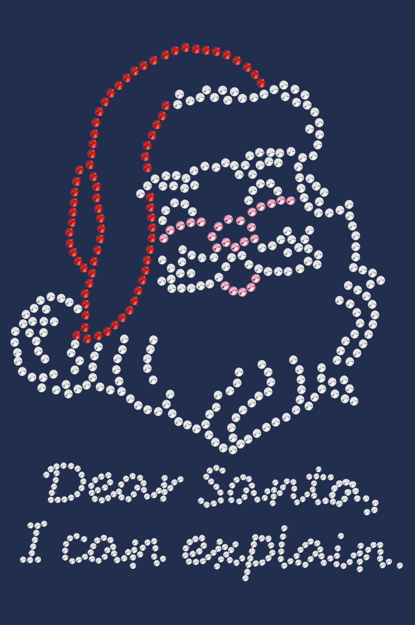 Santa Face - I Can Explain - Womens T-shirt