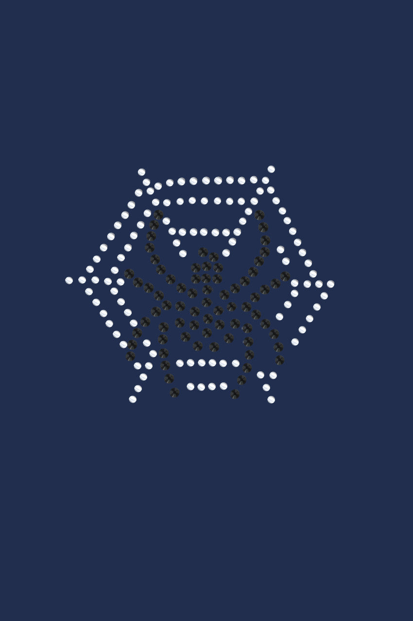 Spider Web & Spider - Women's T-shirt