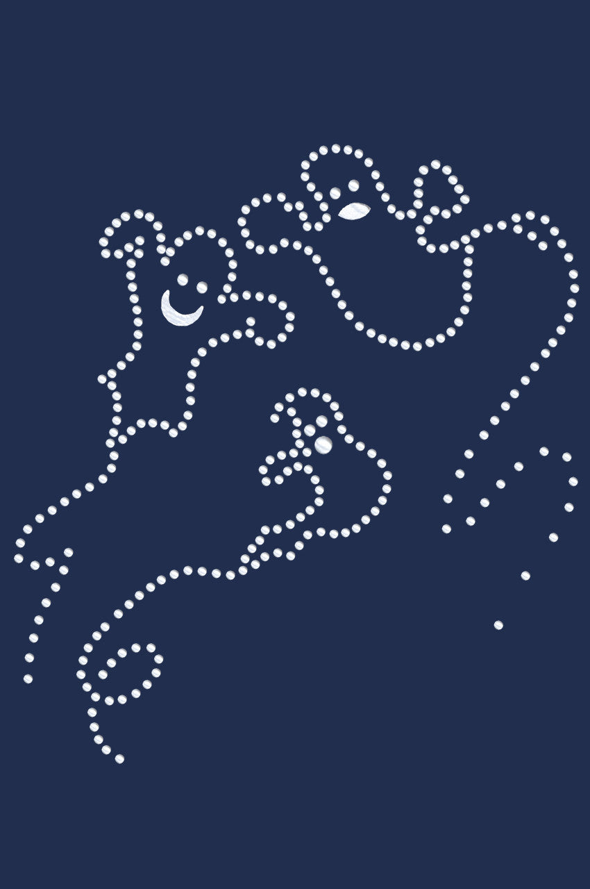 Nailhead Ghost - Women's T-shirt