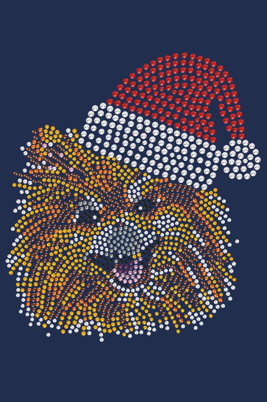 Pomeranian with Santa Hat - Womens T-shirt