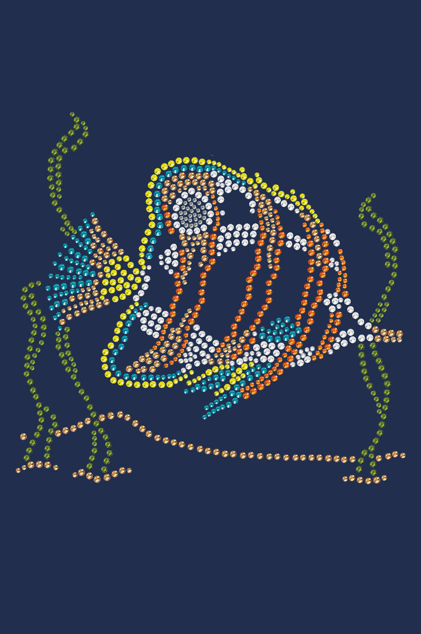 Fish (Orange & Blue) - Womens T-shirt