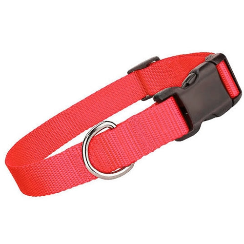 Parisian Pet Nylon Collar for Dogs & Cats – High-Quality Red Nylon Collar -Valentines Day