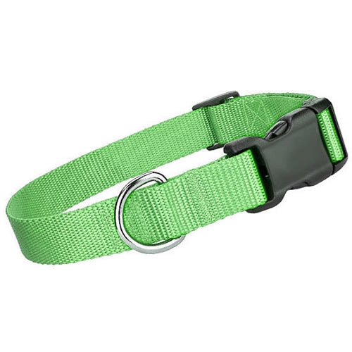Parisian Pet Nylon Collar-Green
