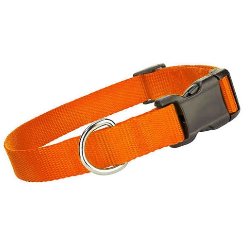 Parisian Pet Nylon Collar for Dogs & Cats – Durable Adjustable Orange Pet Collar, Comfortable Design for Small Dogs