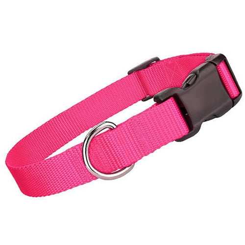 Parisian Pet Nylon Collar-Pink
