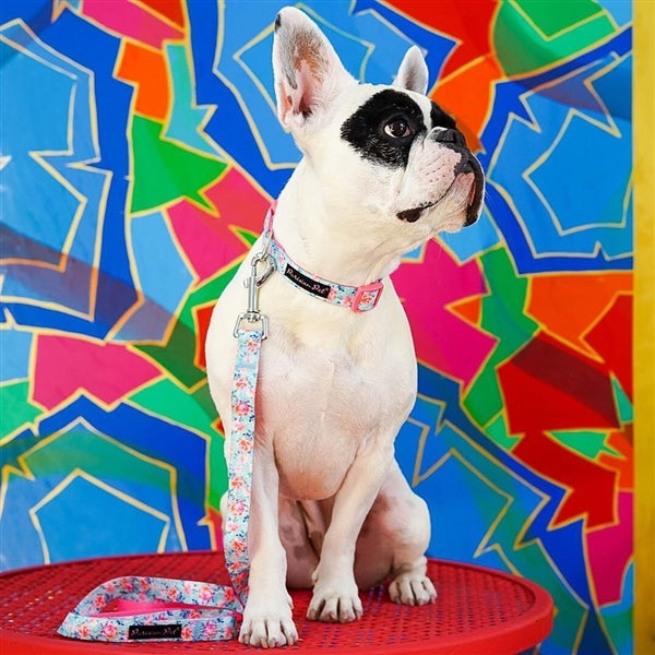 Parisian Pet Spring Blossoms Collar for Dogs & Cats, Comfortable Dog Collar, High-Quality Floral Pet Collar, Light Blue and Pink-Valentines Day