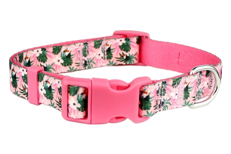 Parisian Pet Tropical Toucan Collar-Pink