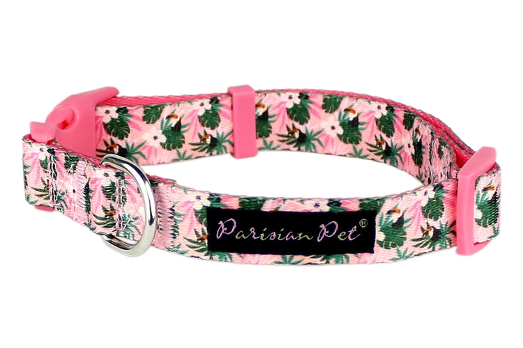 Parisian Pet Tropical Toucan Collar for Dogs & Cats  Adjustable Pink Tropical Pet Collar with Colorful Design