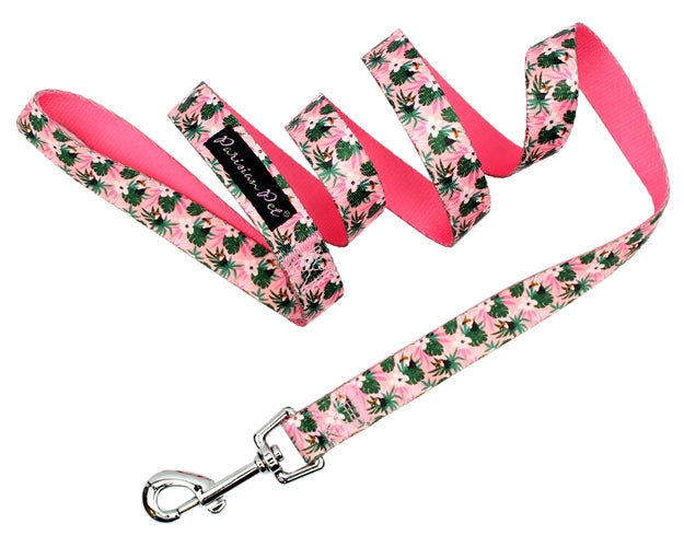 Parisian Pet Tropical Toucan Collar for Dogs & Cats  Adjustable Pink Tropical Pet Collar with Colorful Design