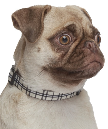 Parisian Pet Scottish Plaid Collar, for Dogs & Cats, Adjustable Pet Collar, Stylish Plaid Dog Collar Khaki
