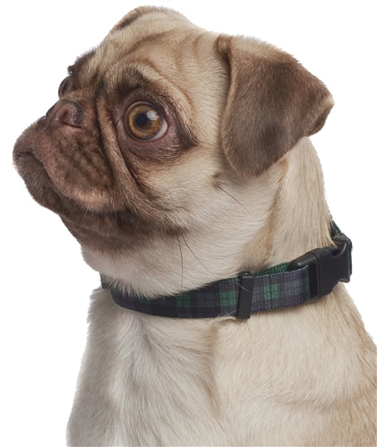 Parisian Pet Scottish Plaid Collar for Dogs & Cats  Stylish Green Blue Dog Collar with Plaid Design and Adjustable Strap