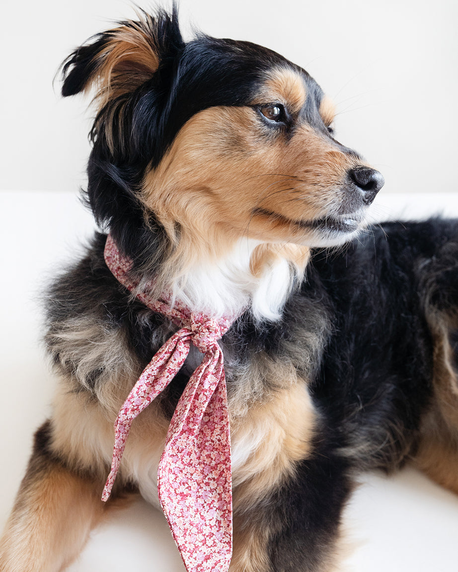 Adventure Necktie
