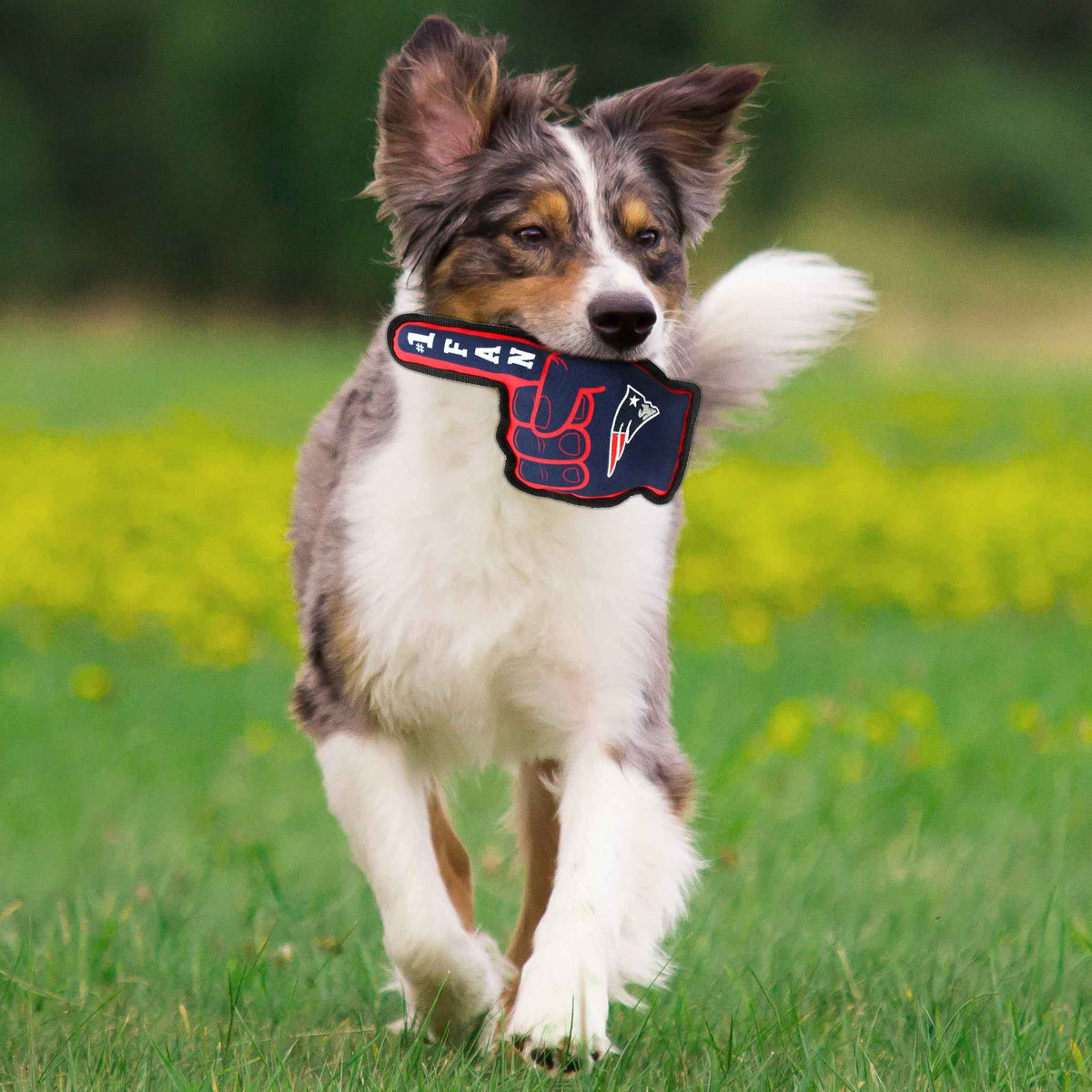 New England Patriots #1 Fan Toy