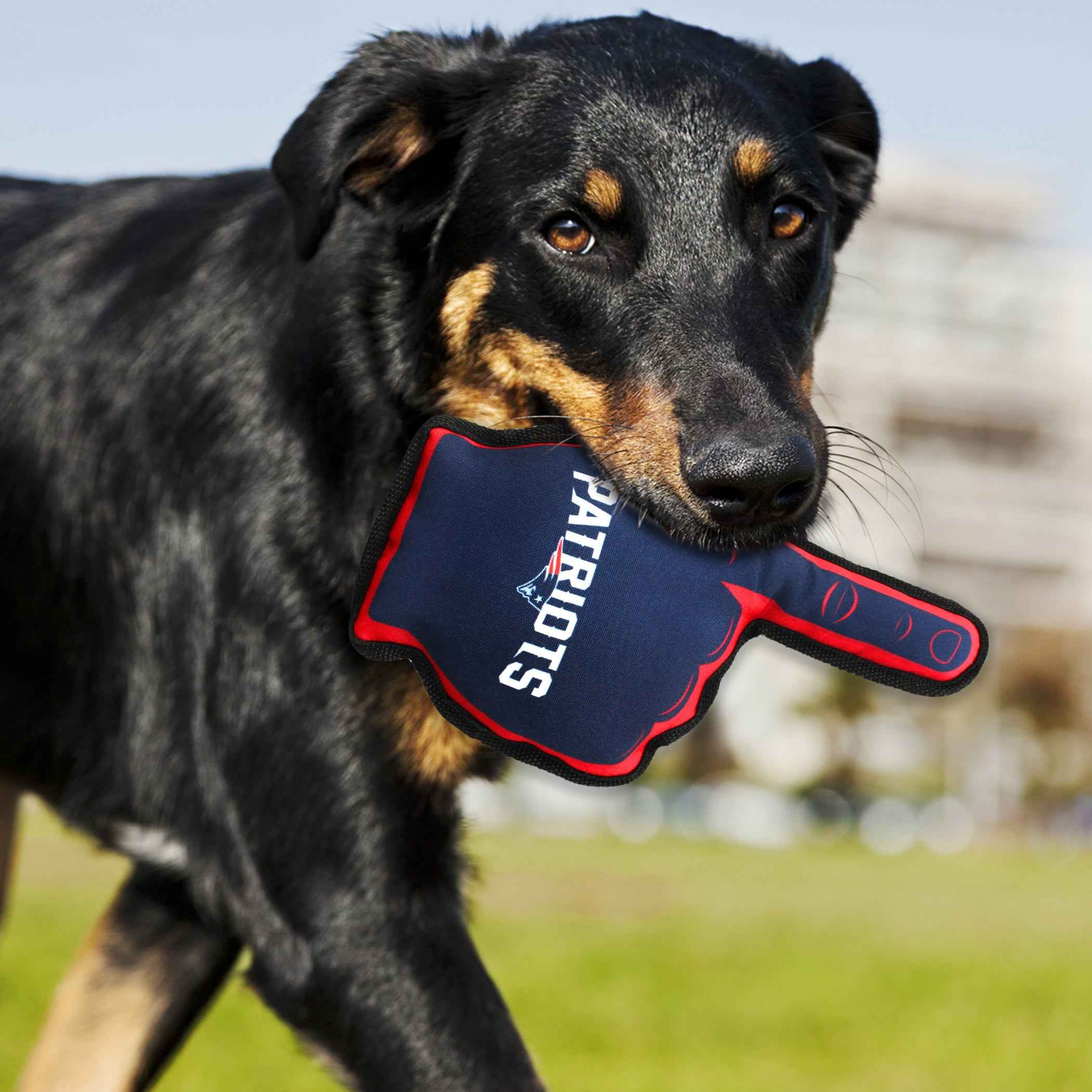 New England Patriots #1 Fan Toy