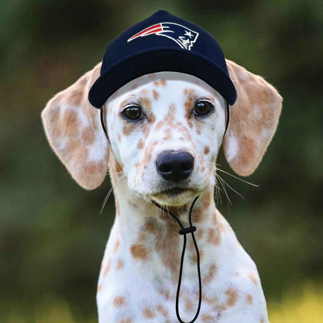 NFL New England Patriots Dog Hat