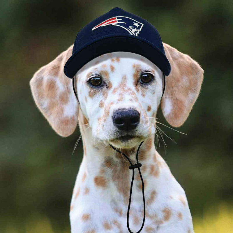 NFL New England Patriots Dog Hat