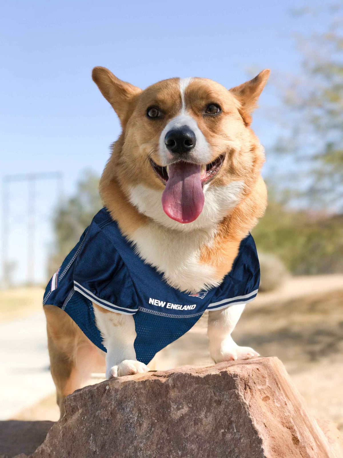 NFL New England Patriots Mesh Pet Jersey