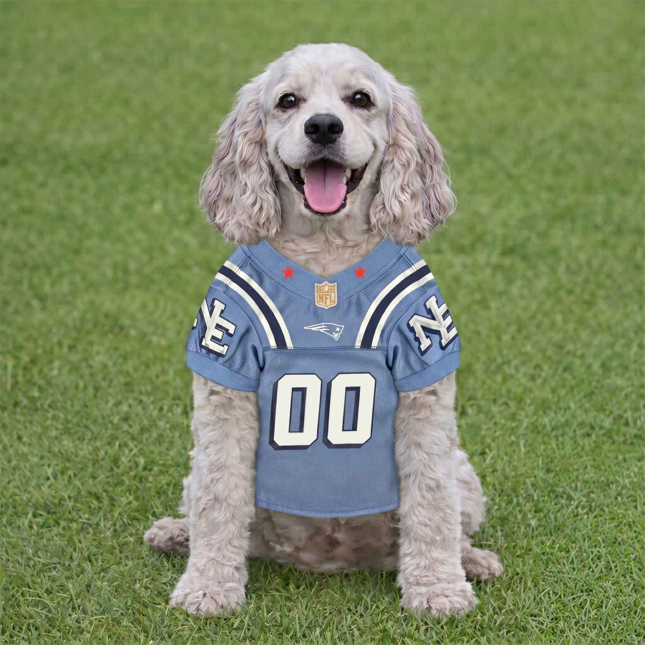 NFL New England Patriots Rivalry Pet Jersey
