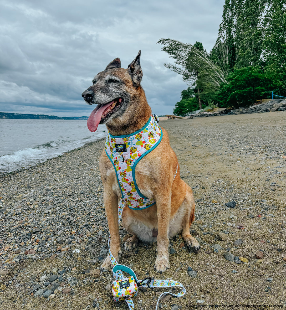 Dog Adjustable Harness - SpongeBob SquarePants™ Bikini Bottom