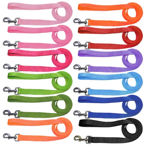Parisian Pet Nylon Pet Leash for Dogs & Cats – Colorful 4ft Durable Pet Leash with Snap Hook, Adjustable, Multiple Color Options-Valentines Day