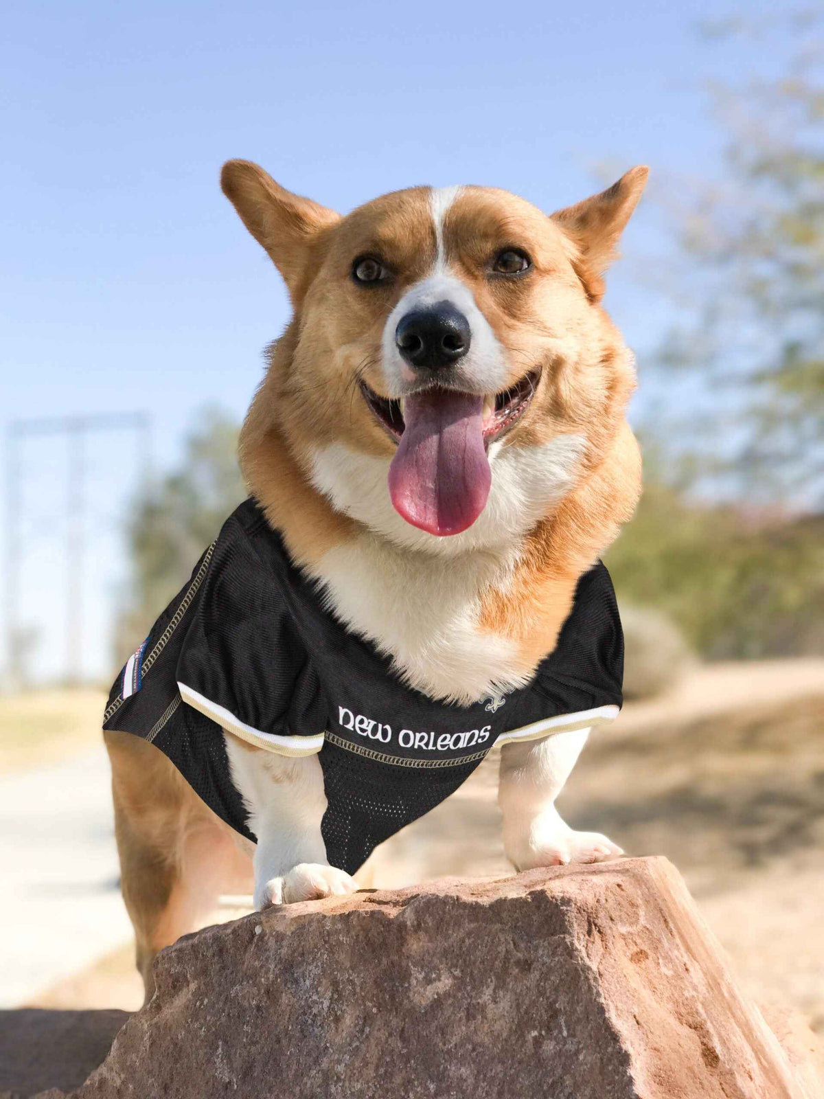 NFL New Orleans Saints Mesh Pet Jersey