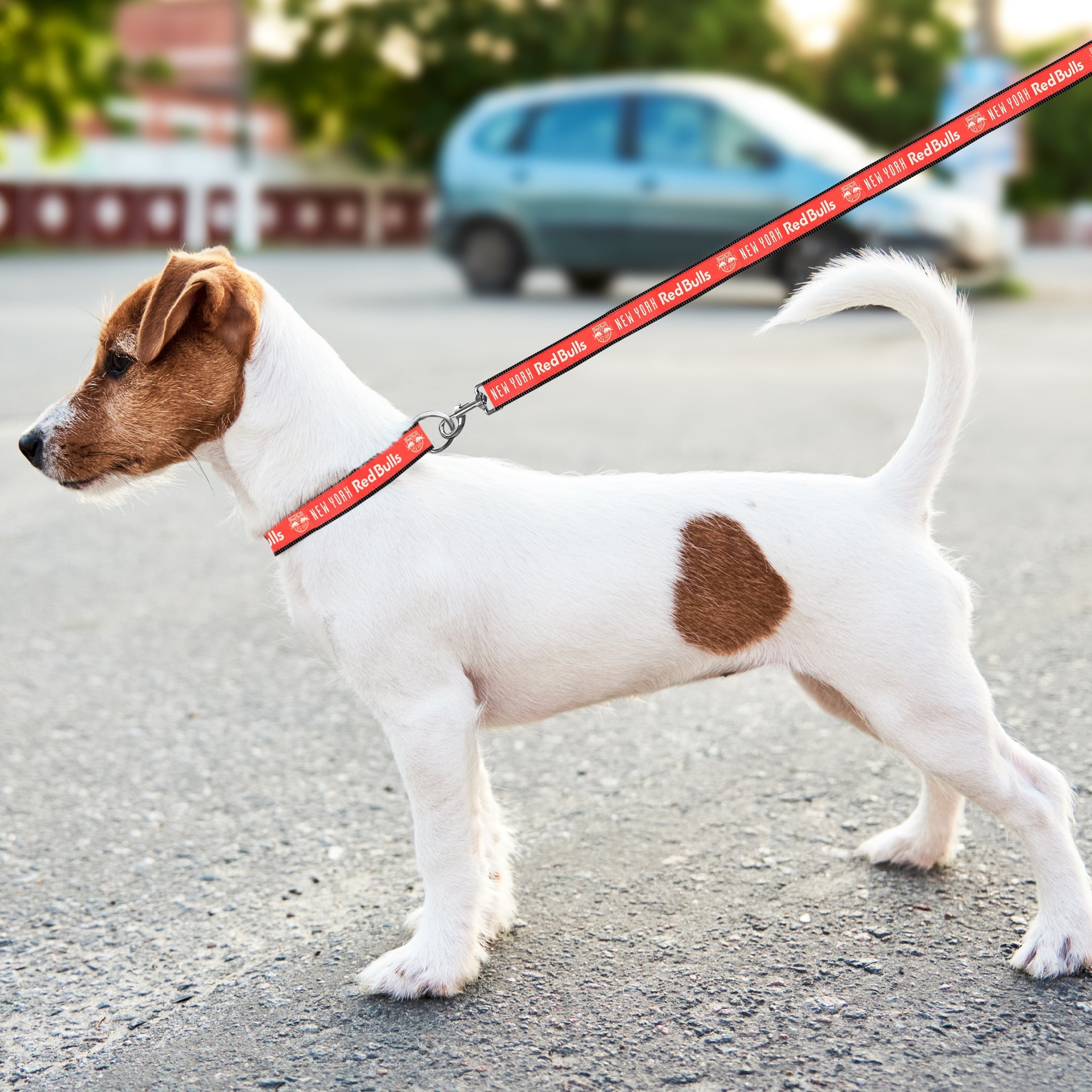 New York Red Bulls Satin Ribbon Leash